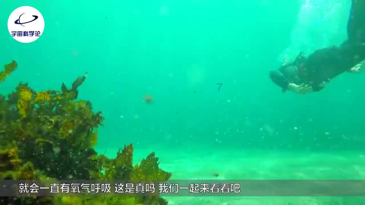 寒假不长胖的秘密,在这里|寒假健康提示